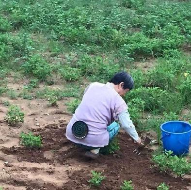 野外防蚊子新技能 野外防蚊子新技能