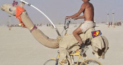 阿三哥的世界真精彩.. 阿三哥的世界真精彩..