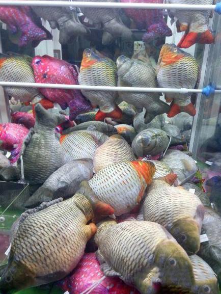 隔着玻璃都能闻到一股腥味 隔着玻璃都能闻到一股腥味