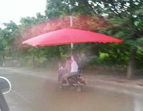雨再大也不怕不怕了 雨再大也不怕不怕了