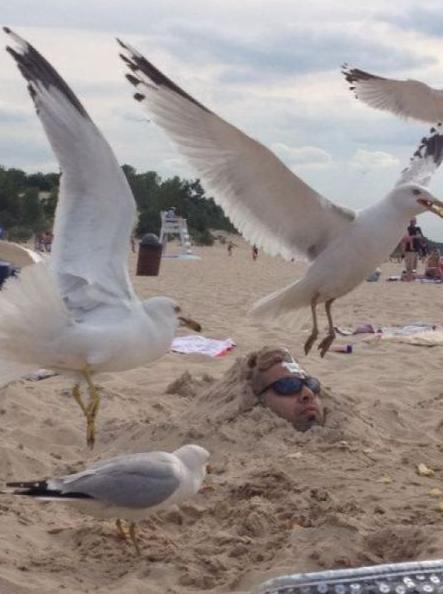 顺便给你做做面膜 顺便给你做做面膜