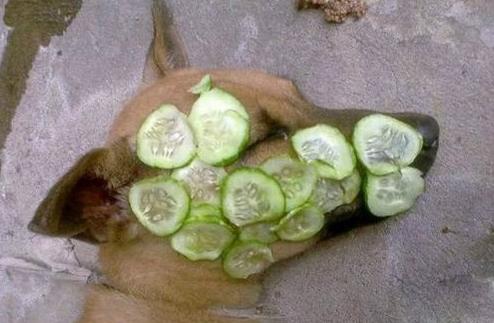 麻麻说醒来时就会水水嫩嫩的 麻麻说醒来时就会水水嫩嫩的